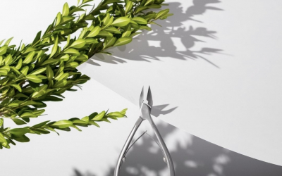 Накожницы Накожницы